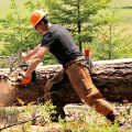 Chainsaw Milling Tools: Everything You Need to Know