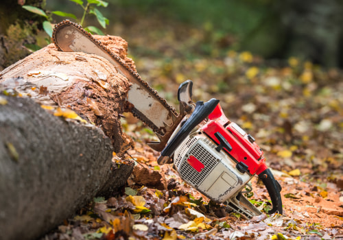 How to Avoid Chainsaw-Related Injuries