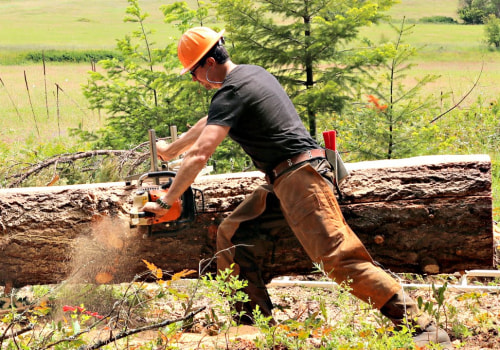 Chainsaw Milling Tools: Everything You Need to Know